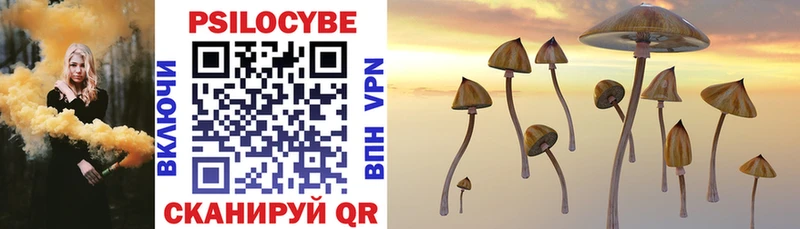 Псилоцибиновые грибы Psilocybine cubensis  Вяземский 